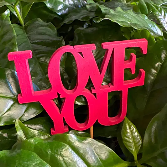 Love You | Decorative Plant Pot Accessory | Gardening Accessories