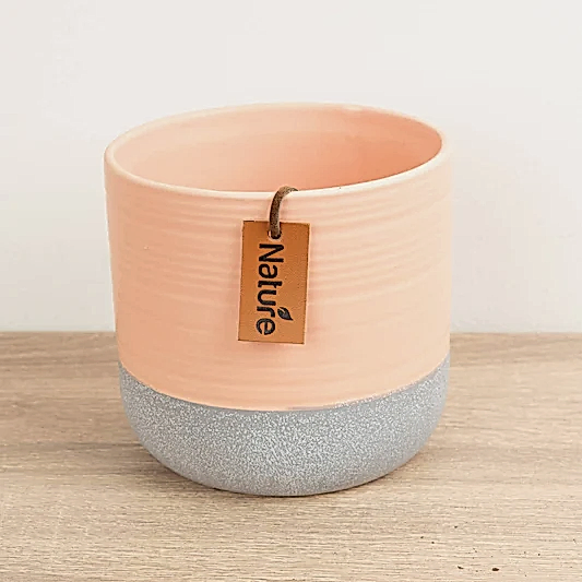Imperfect! Evie Pot | Tropical Peach | Pots & Planters
