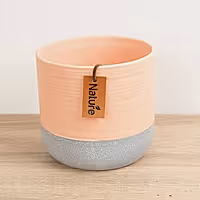 Evie Pot | Tropical Peach - Ceramic Plant Pot