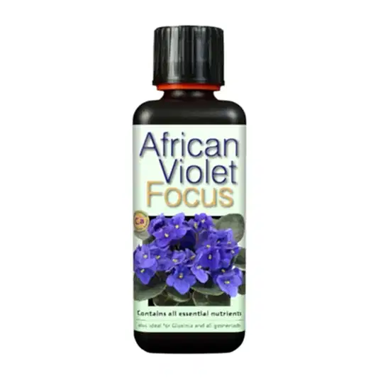 African Violet Focus Plant Food | Fertilizers