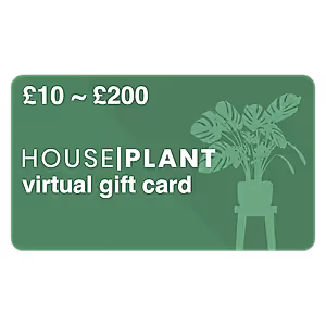 Houseplant Gift Card - Indoor Plant