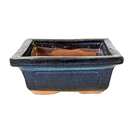 Bonsai Ceramic Pot | Blue | Pots & Planters