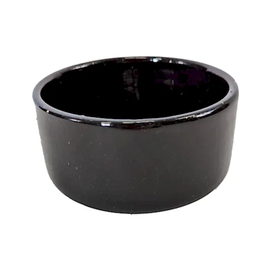 Lucky Bamboo Ceramic Bowl | Black | Pots & Planters