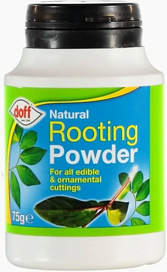 Doff Natural Rooting Hormone Powder | Gardening Accessories