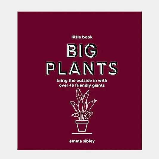 Little Book, Big Plants - Bring The Outside in with Over 45 Friendly Giants by Emma Sibley | Books