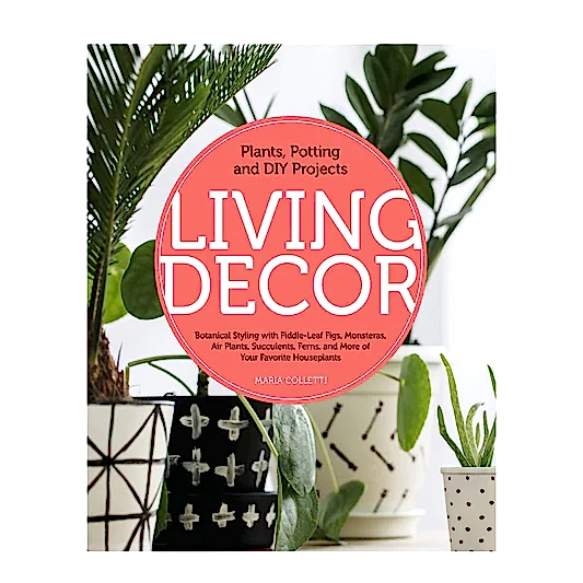 Living Decor: Plants, Potting and DIY Projects - Botanical Styling with Fiddle-Leaf Figs, Monsteras, Air Plants, Succulents, Ferns, and More of Your Favorite Houseplants by Maria Colletti | Books