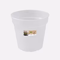 Orchid Pot | Transparent - Plastic Plant Pot