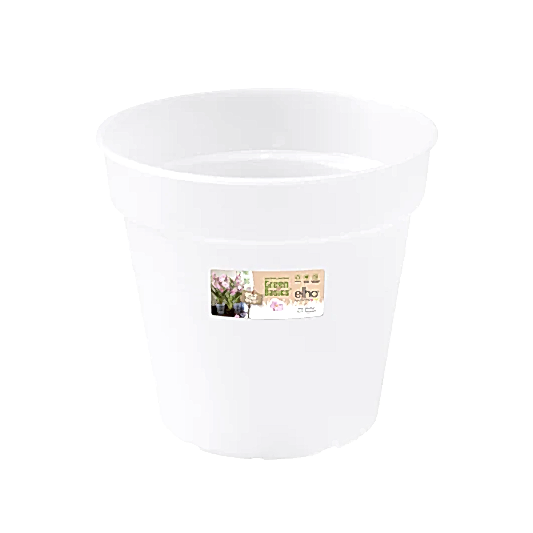 Orchid Pot | Transparent | Pots & Planters