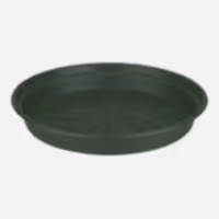 Round Saucer | Green - Plant Saucer