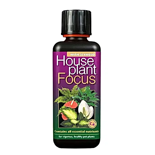 Houseplant Focus  - Plant Food | Fertilizers