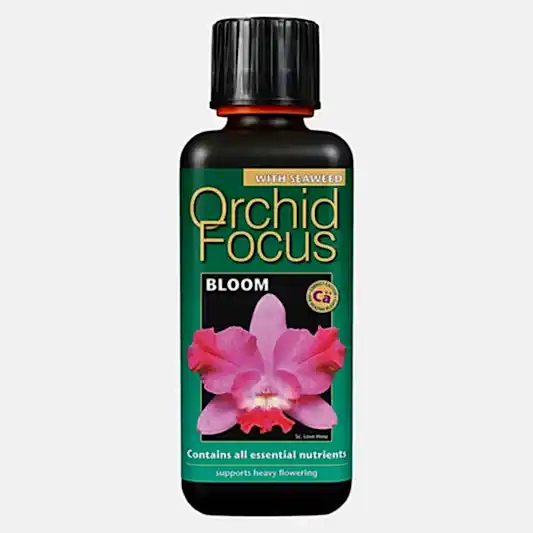 Orchid Focus Bloom - Plant Food | Fertilizers