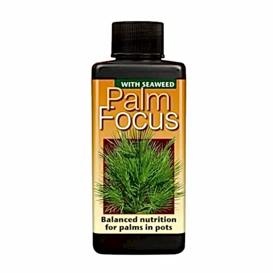 Palm Focus - Plant Food | Fertilizers